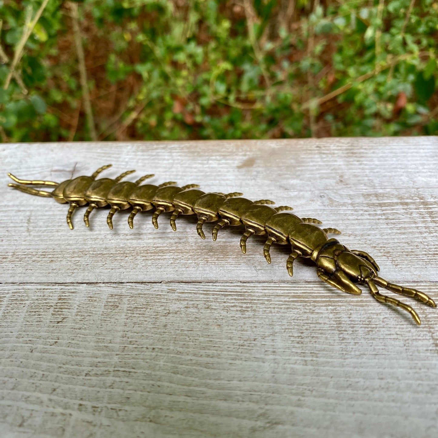 Bendable Centipede