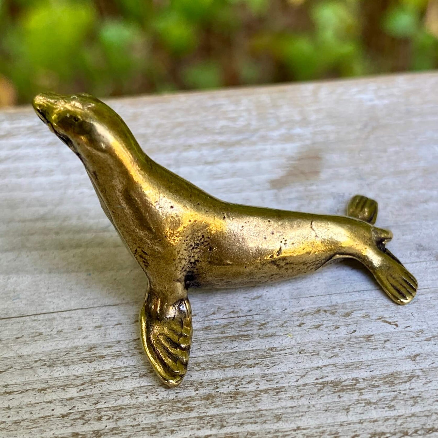 Seal
