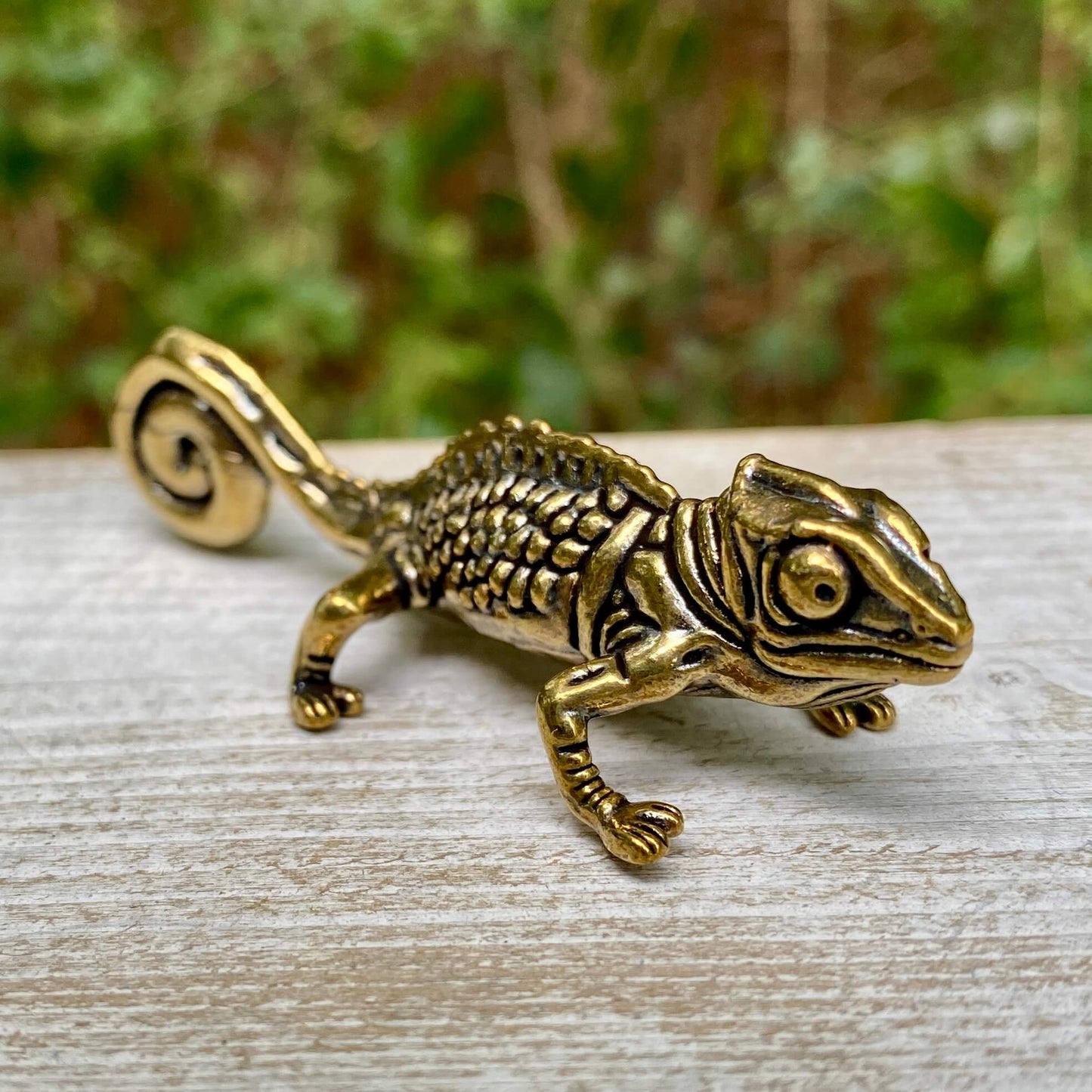 Chameleon