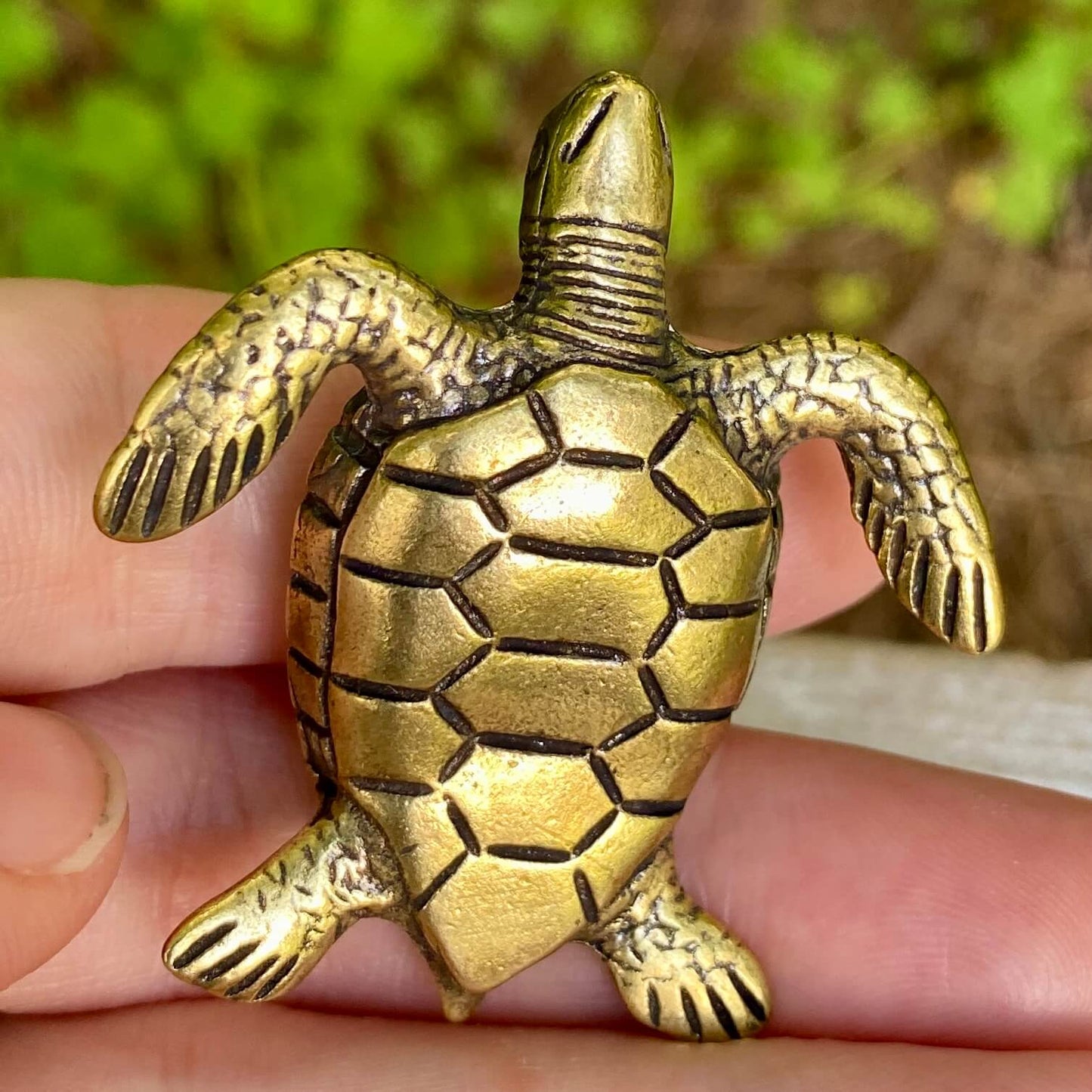 Sea Turtle - Symbol of Wisdom, Patience & Longevity