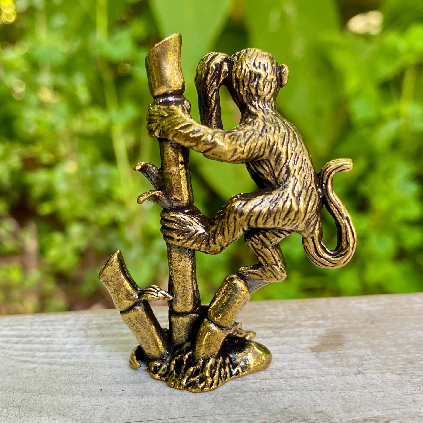 Monkey on Bamboo