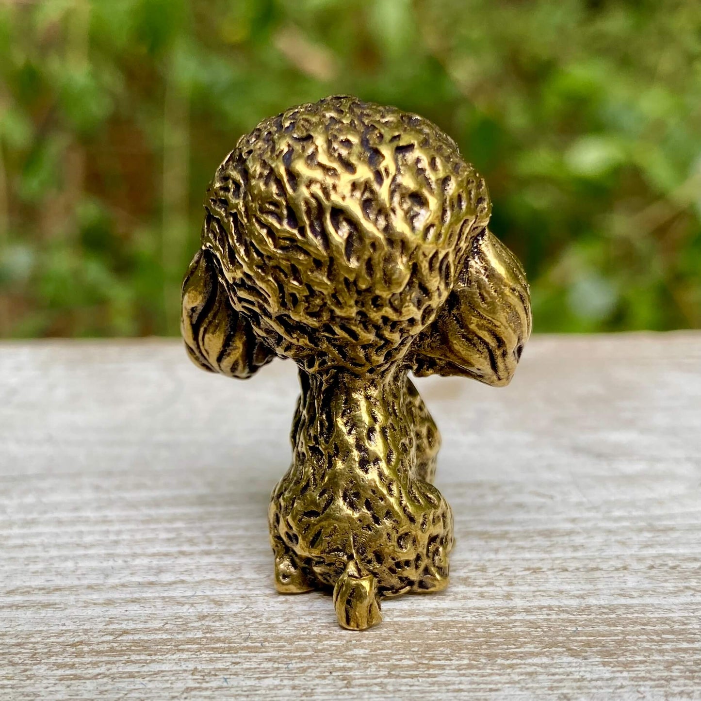 Poodle Dog