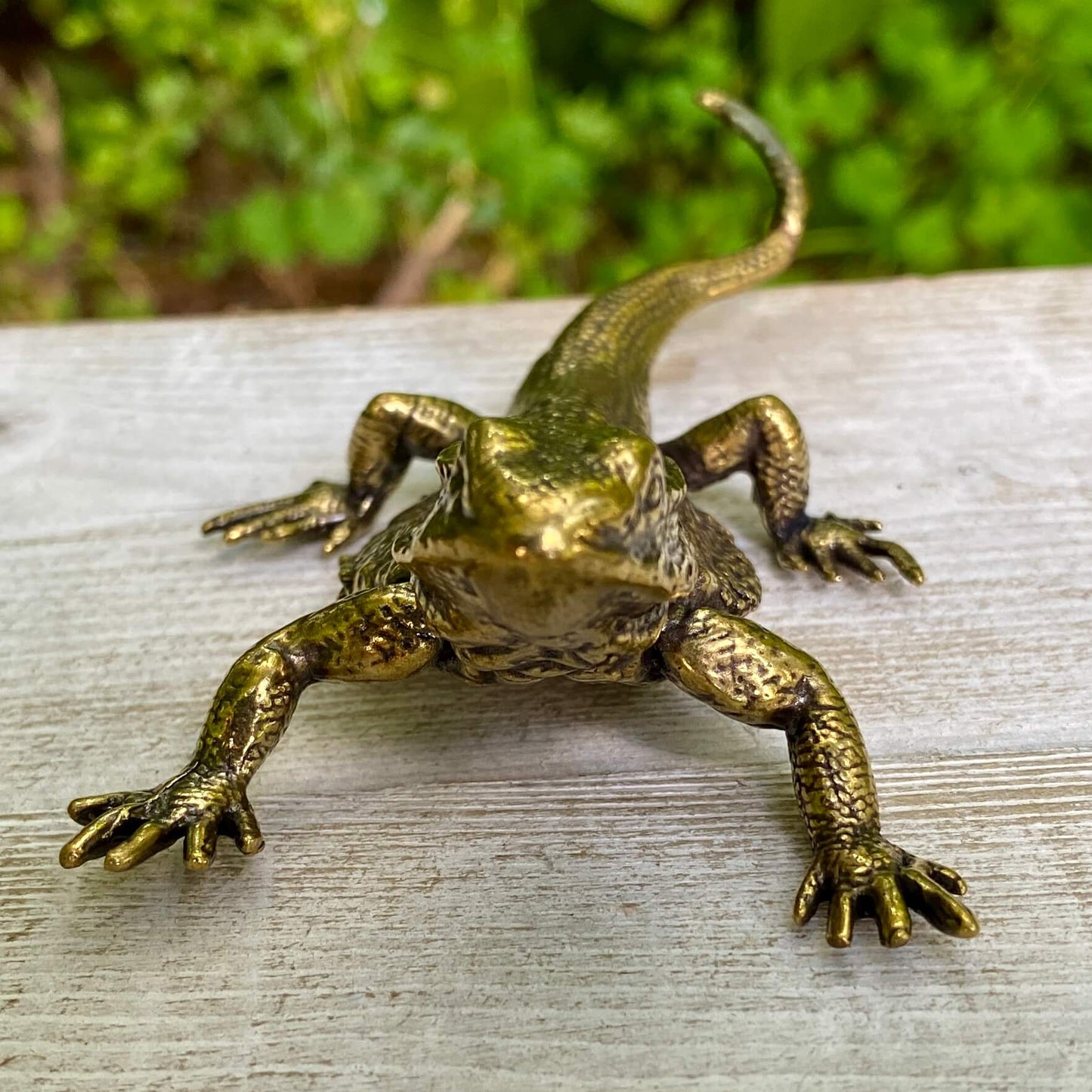 Lizard