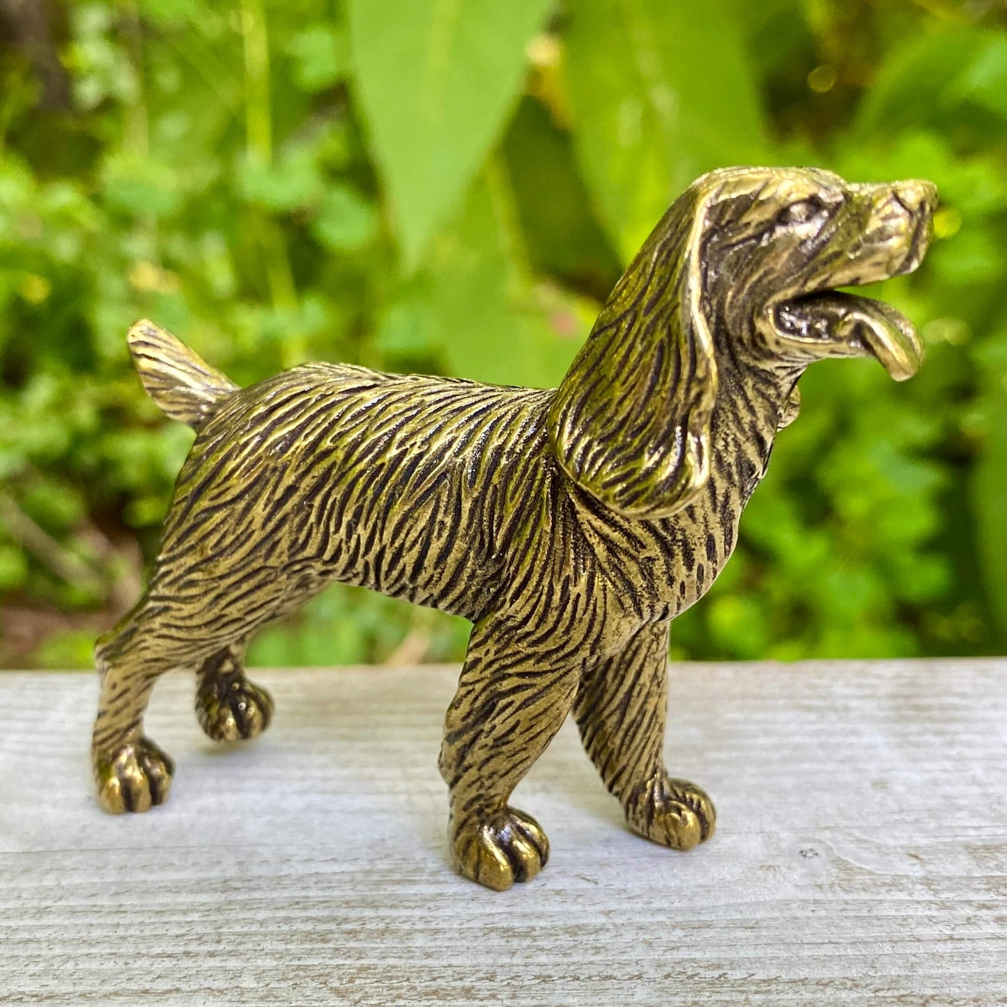 Cocker Spaniel Dog