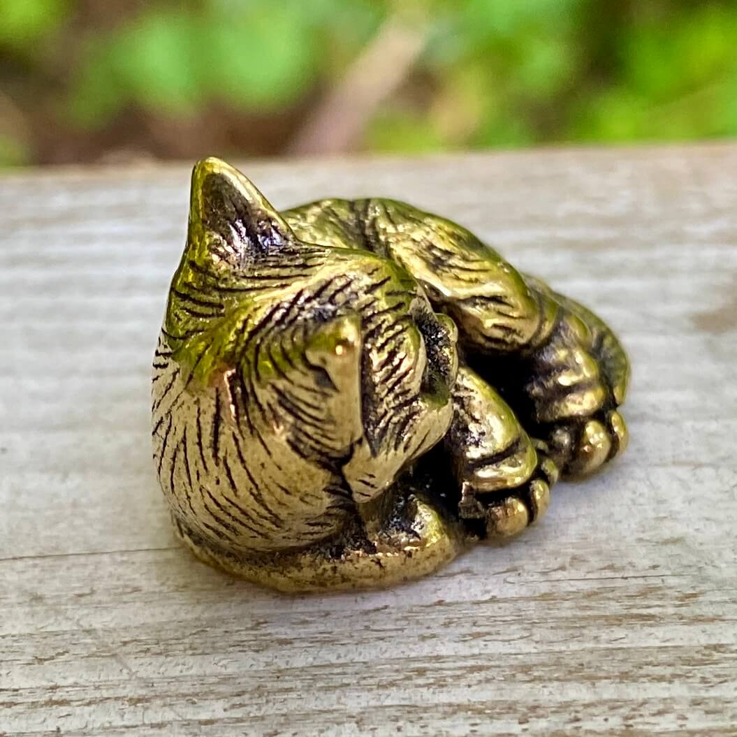 Cat laying down