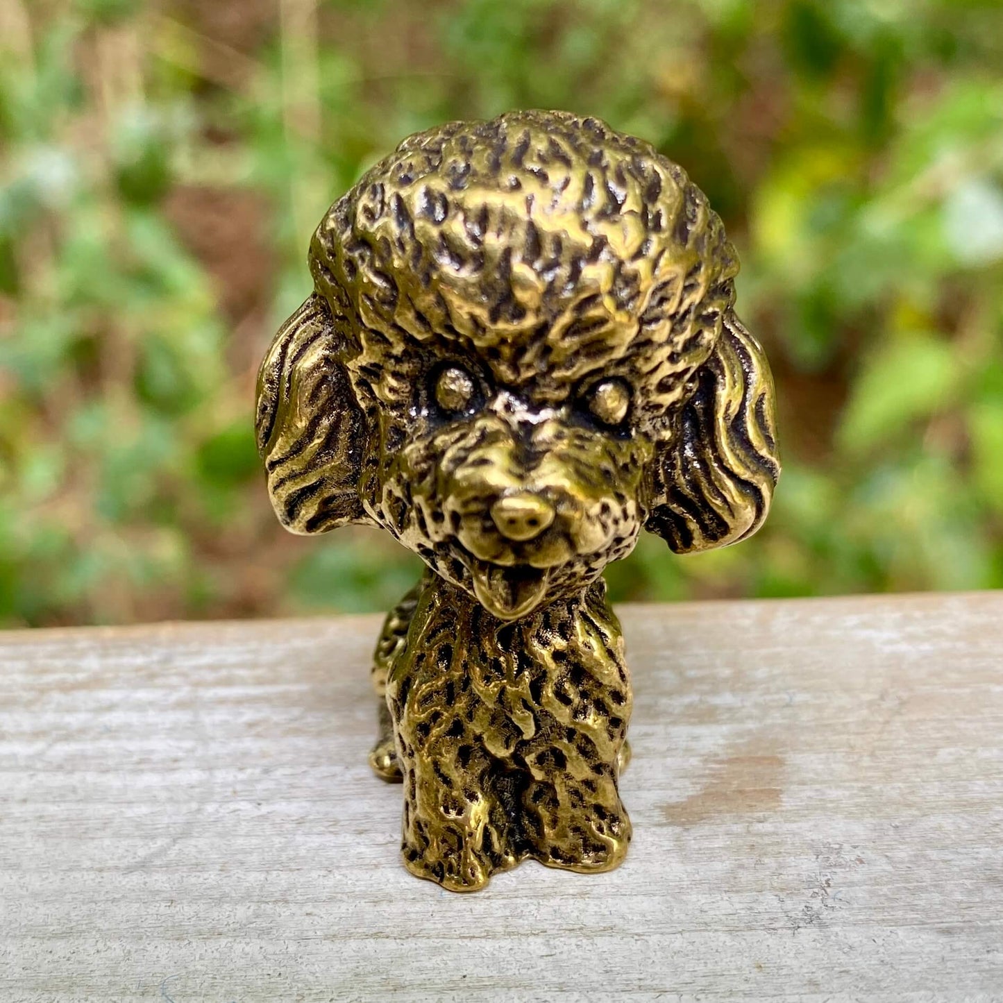 Poodle Dog