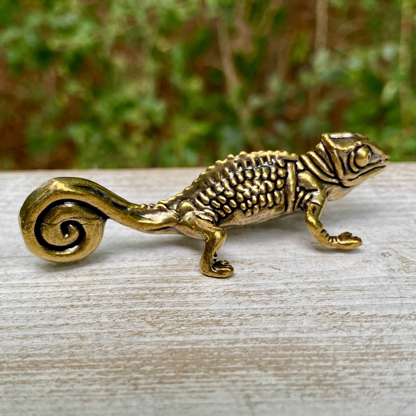 Chameleon
