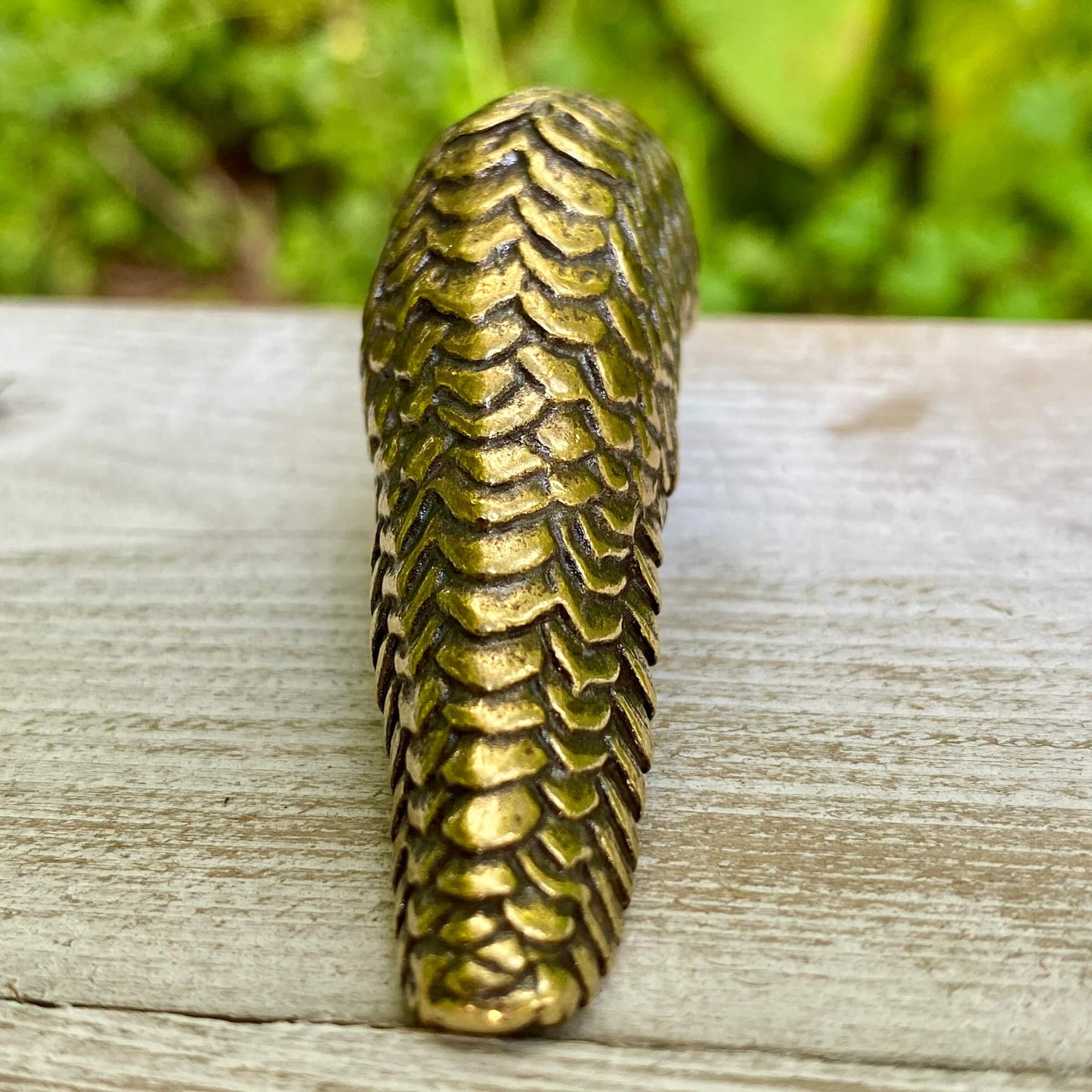 Pangolin