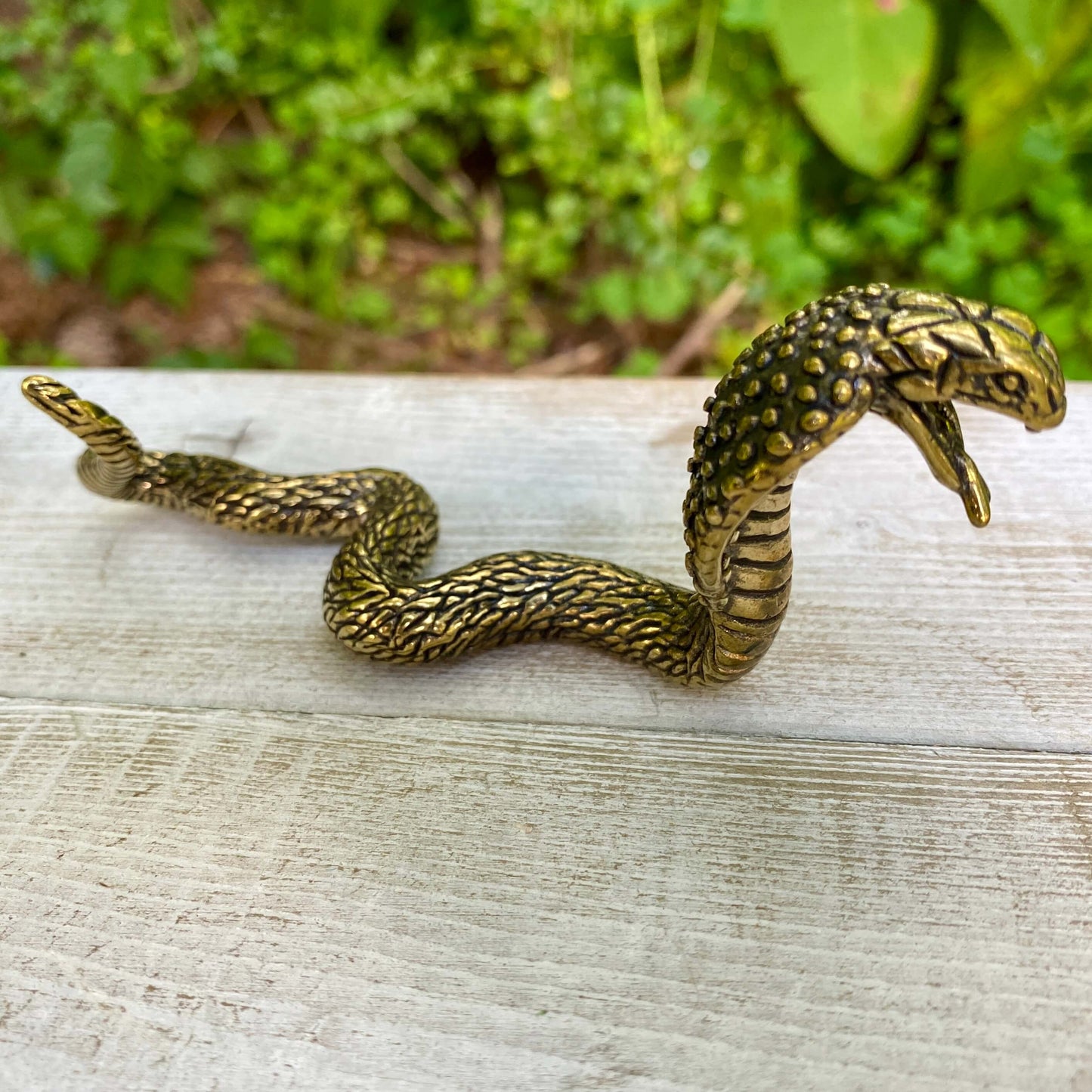 Cobra Snake - Symbol of Transformation, Power & Protection
