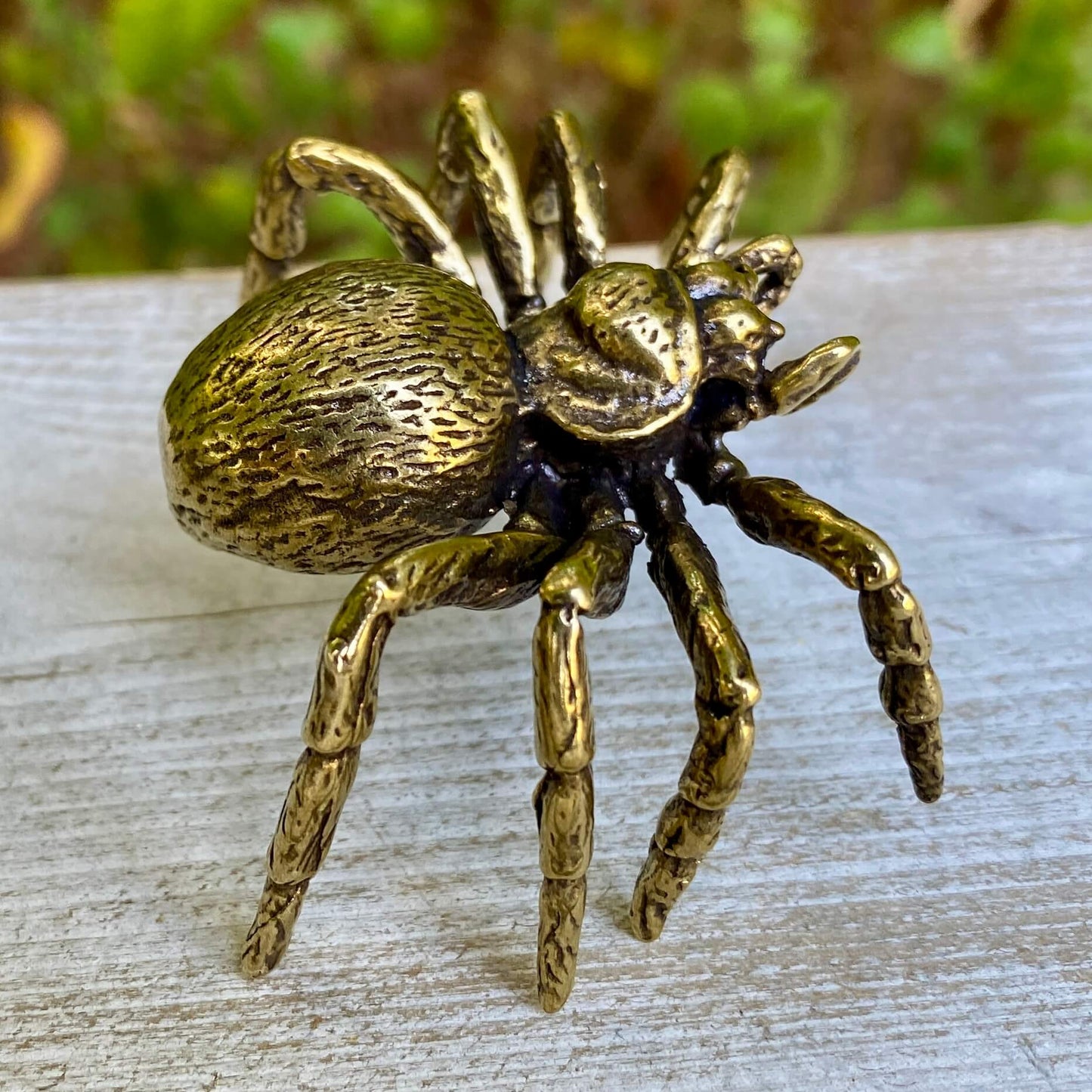 Tarantula