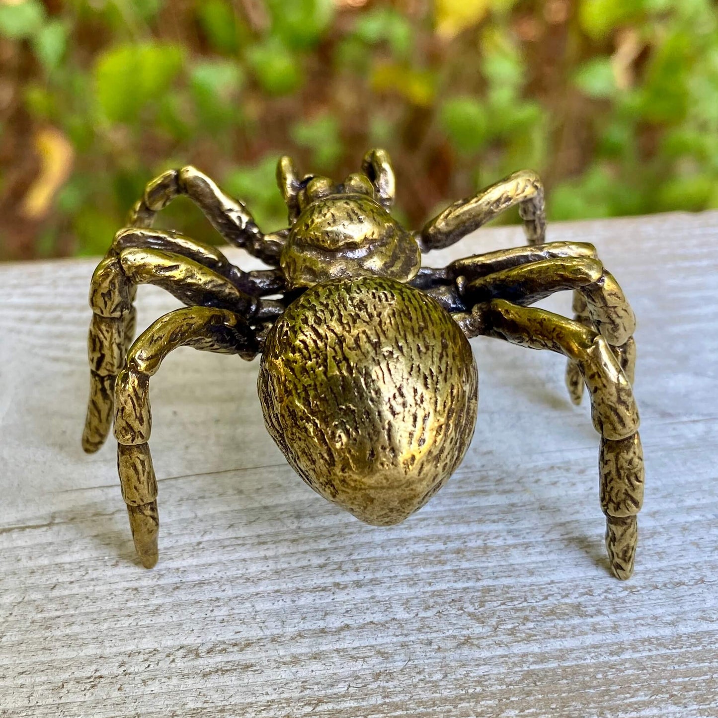 Tarantula