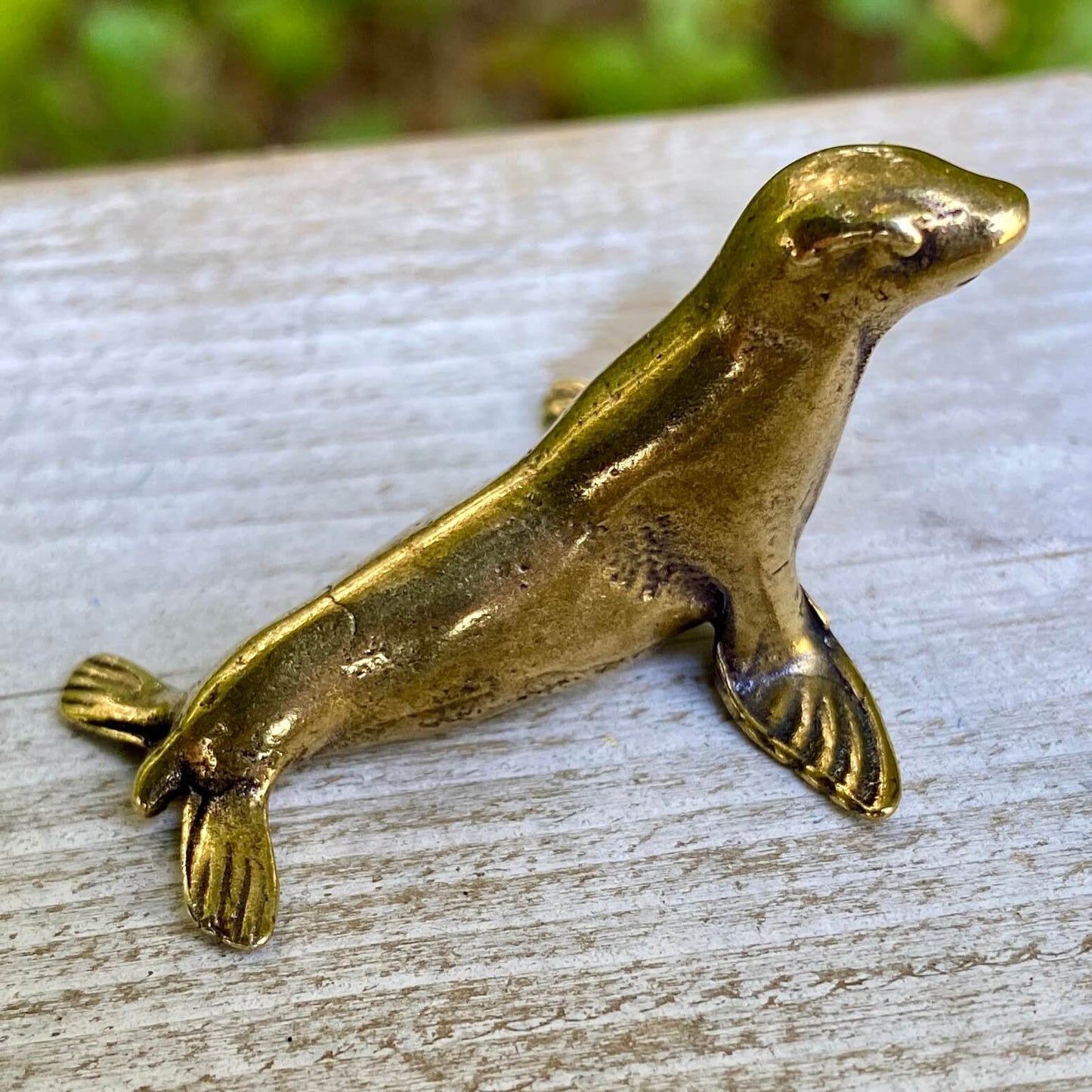 Seal