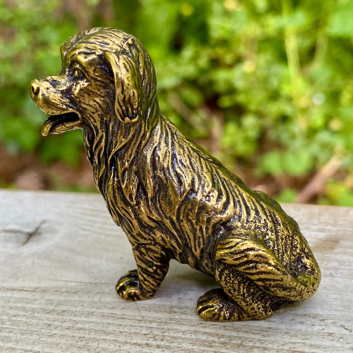 Golden Retriever Dog