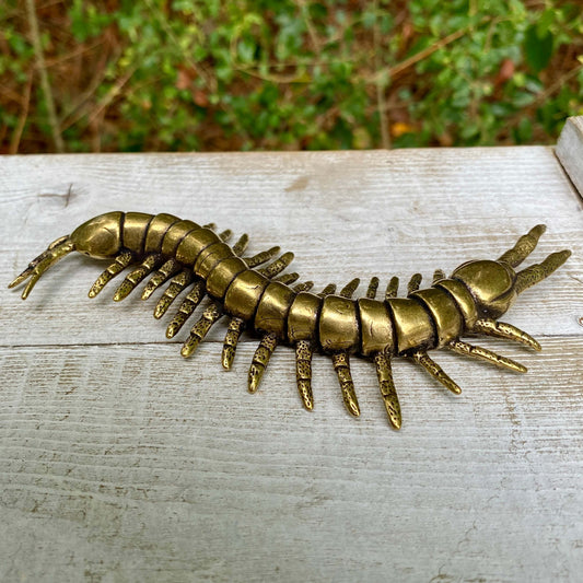 Solid Brass Centipede – Symbol of Protection, Persistence & Flexibility