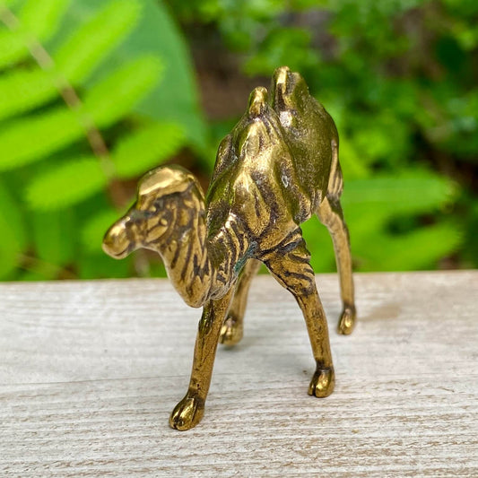 Solid Brass Camel – Symbol of Endurance, Patience & Survival