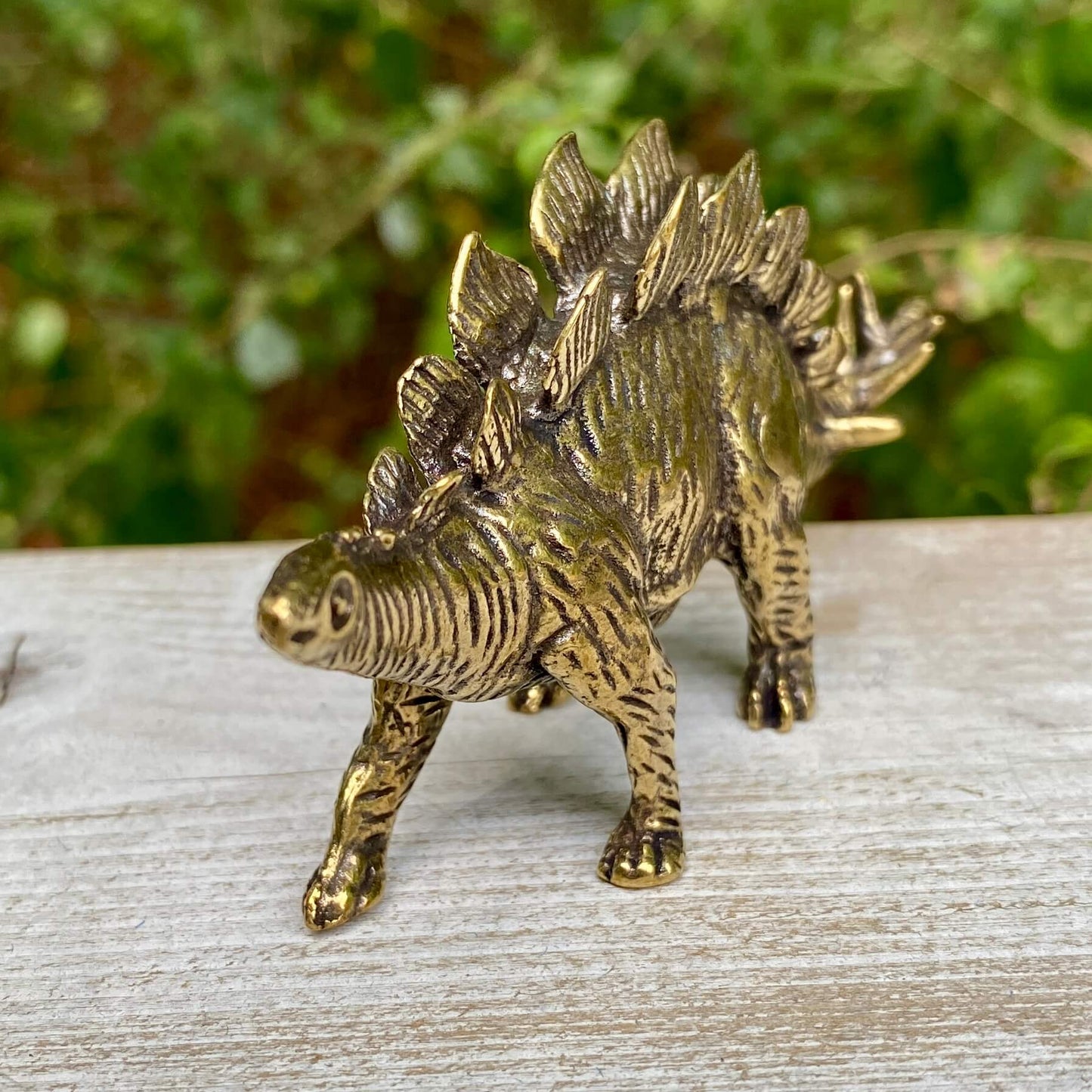 Stegosaurus Dinosaur