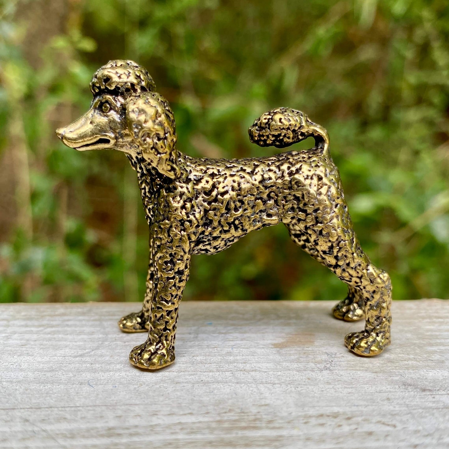 Poodle Dog