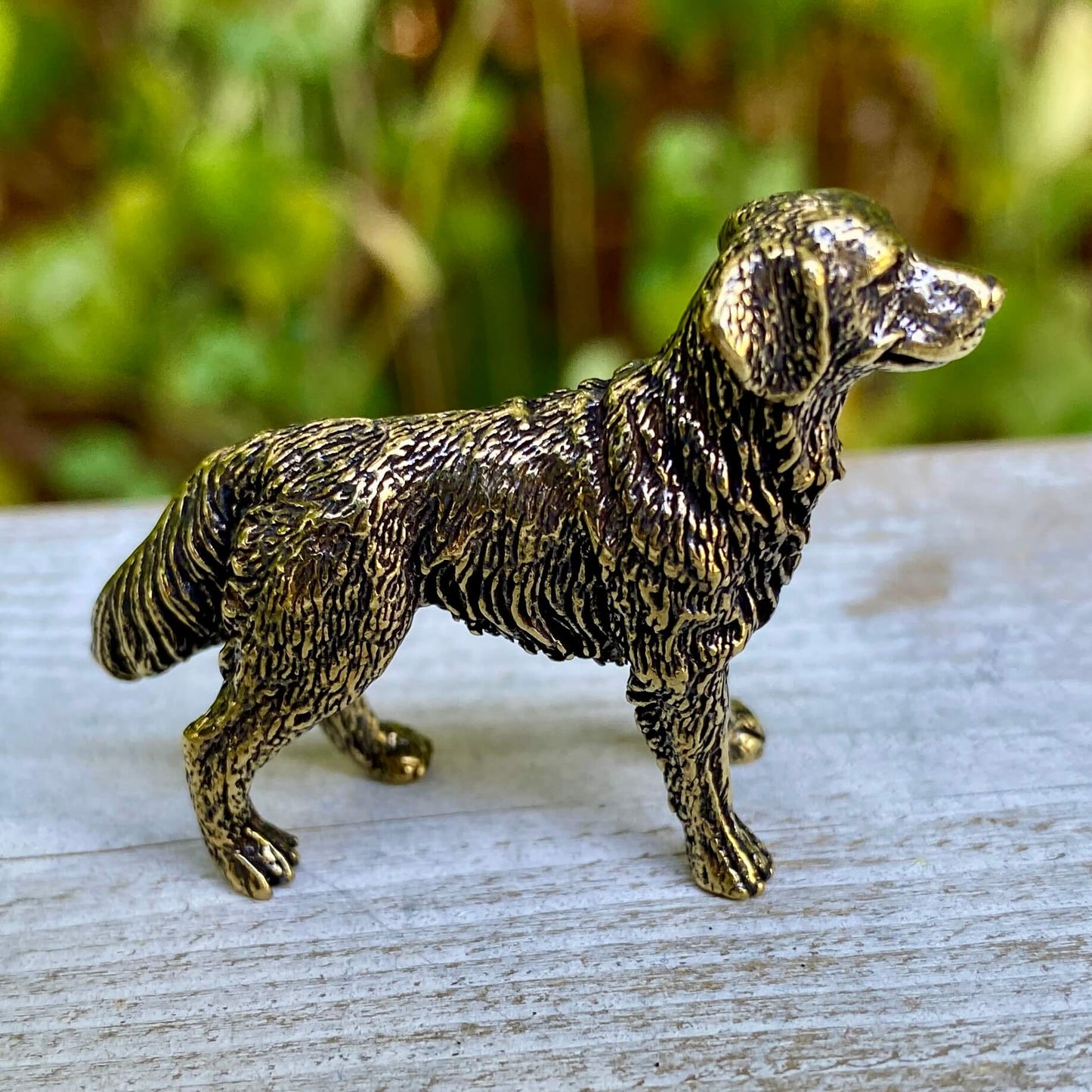 Brass Labrador Retriever