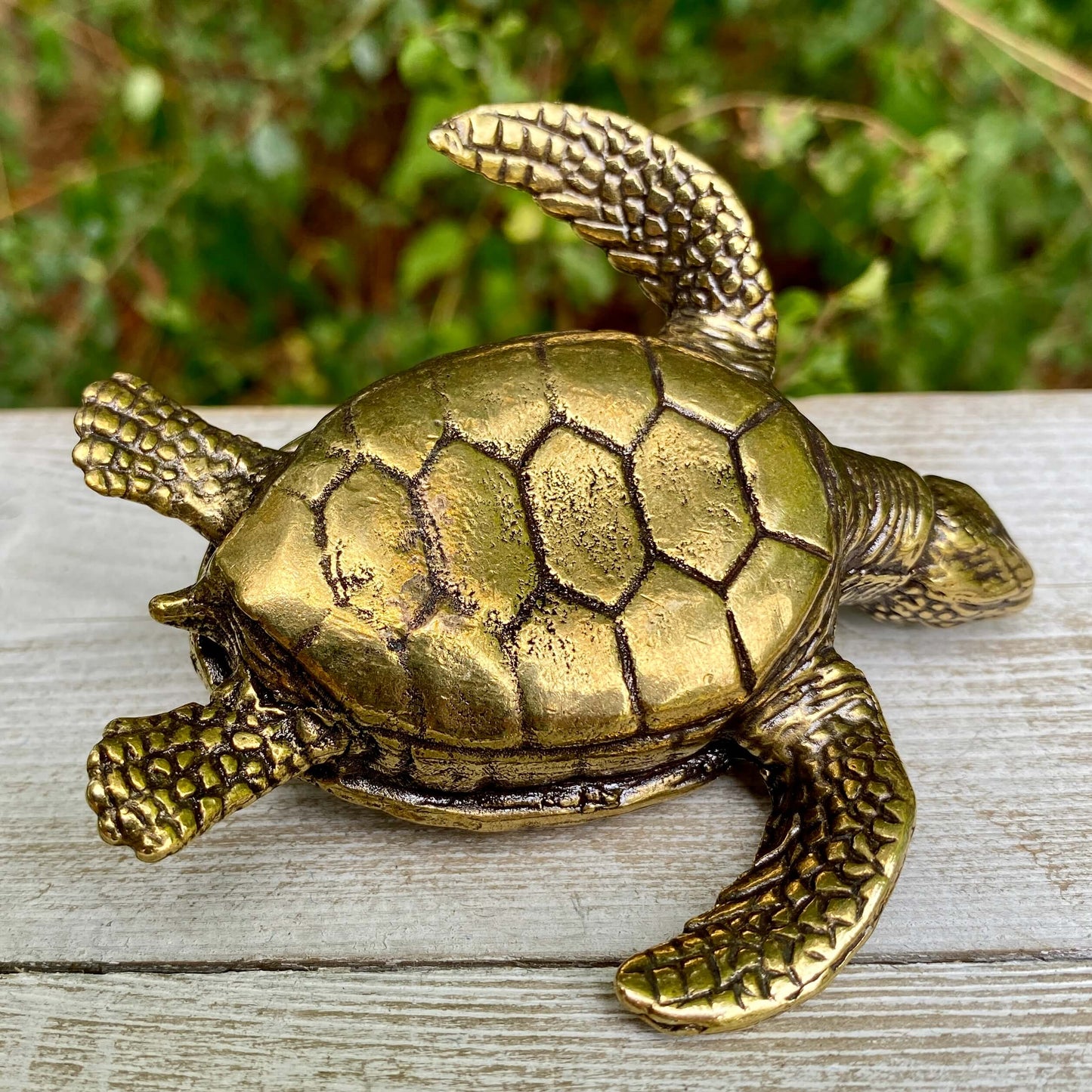 Sea Turtle