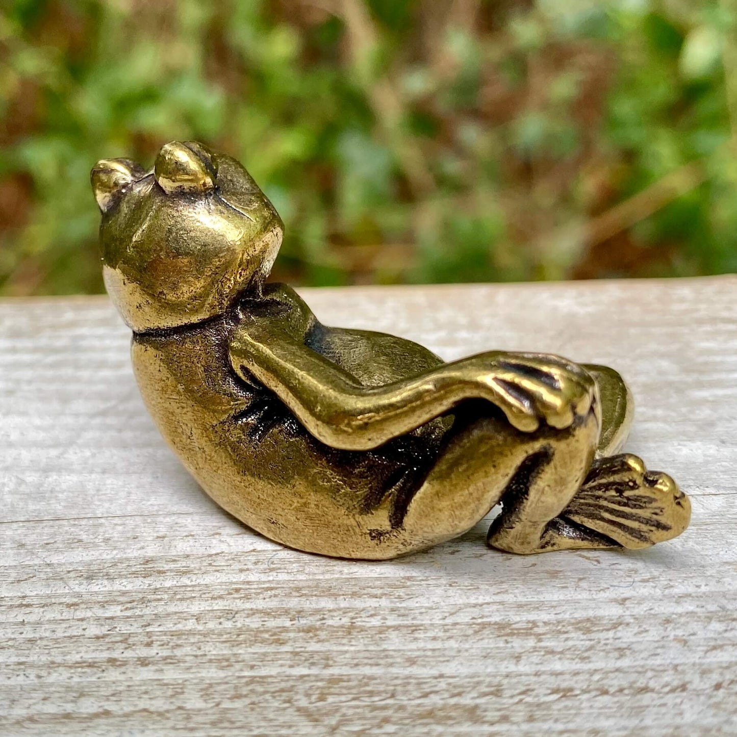 Lounging Frog