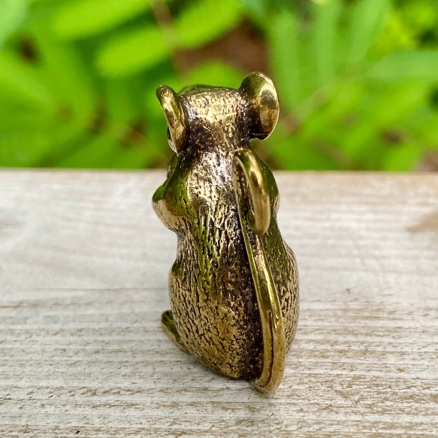 Mouse - Symbol of Curiosity, Adaptability & Awareness