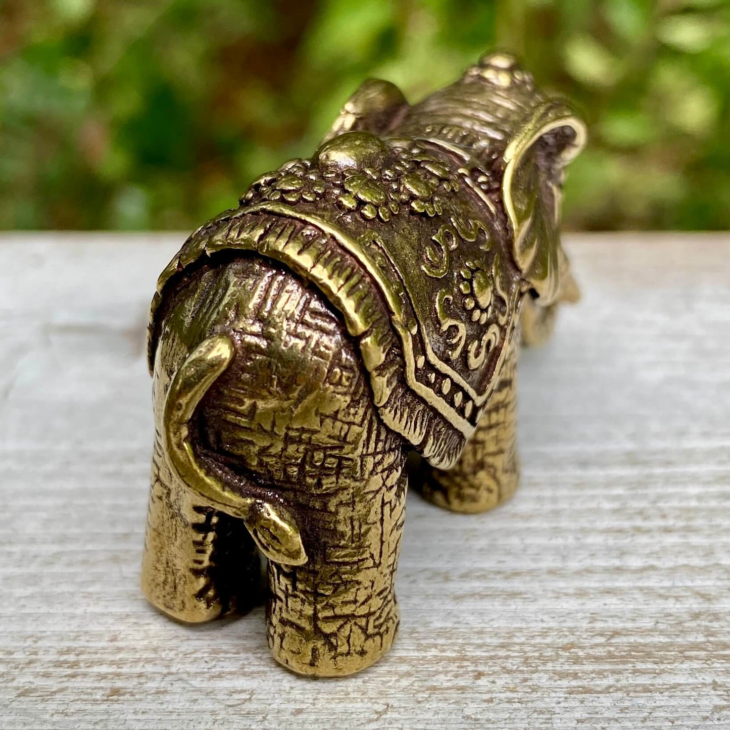 Indian Elephant