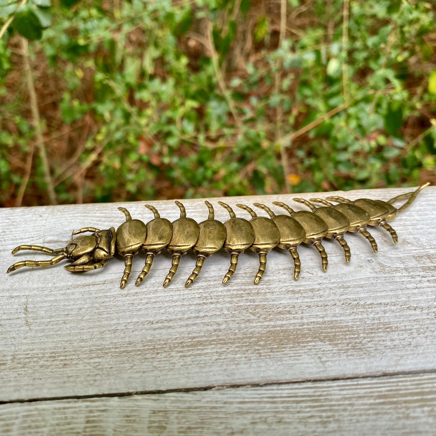 Bendable Centipede
