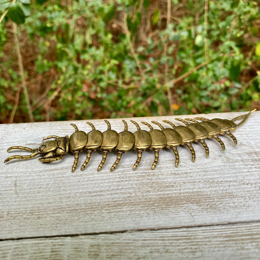 Bendable Solid Brass Centipede – Symbol of Protection, Persistence & Flexibility