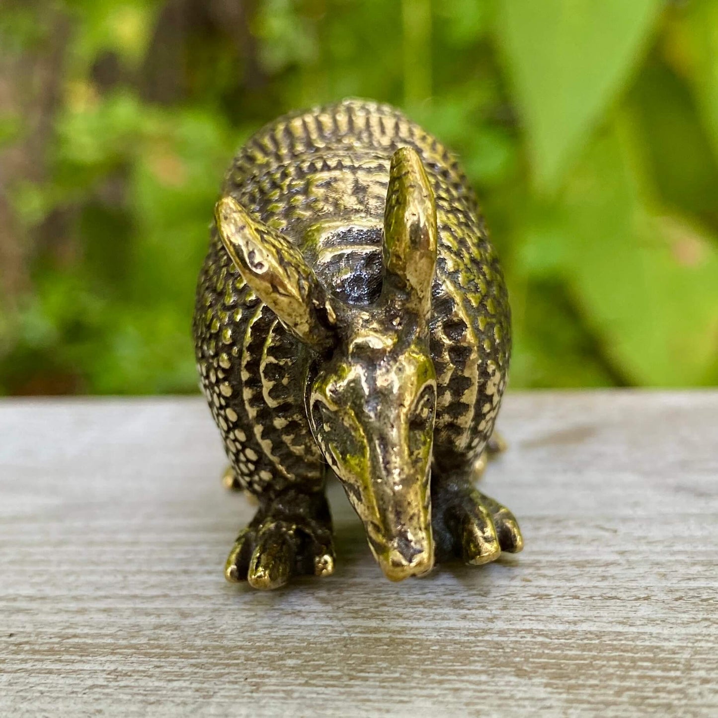 Armadillo - Symbol of Protection, Resilience, and Grounded Energy