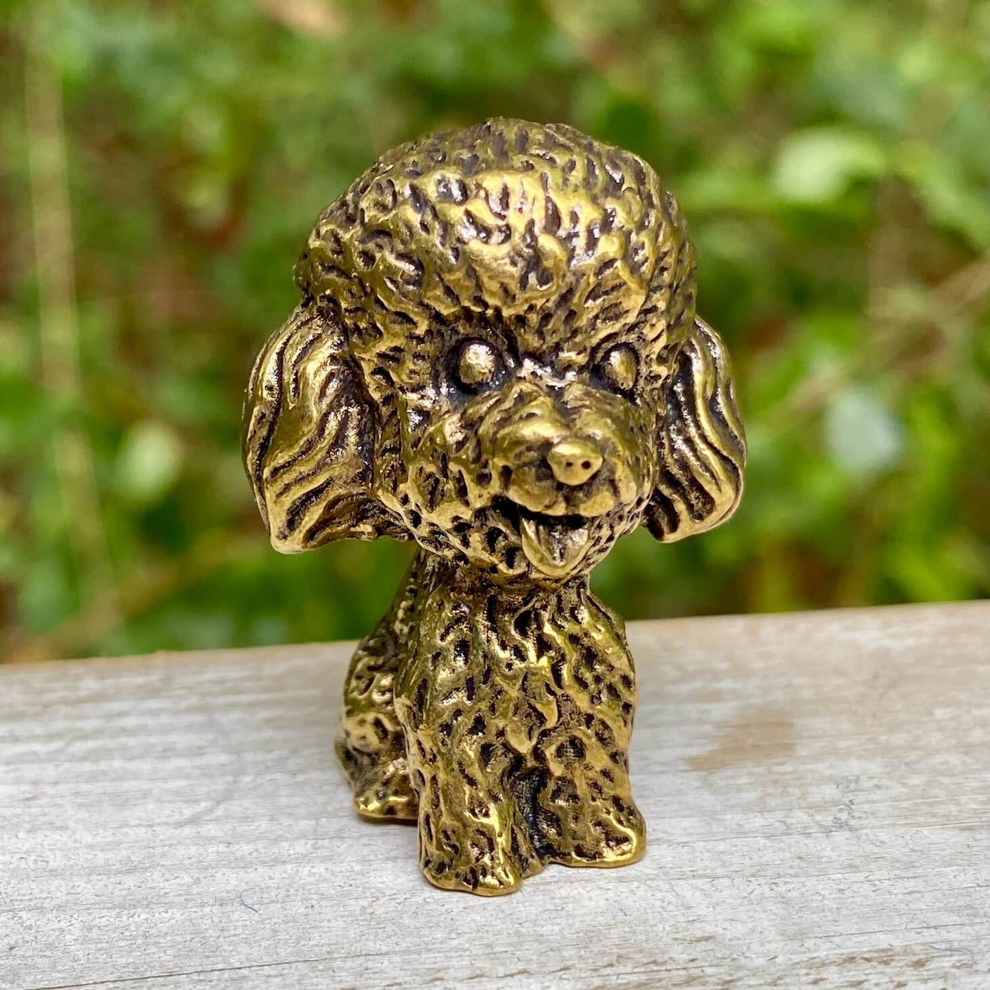 Poodle Dog