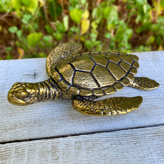 Large Solid Brass Sea Turtle – Symbol of Longevity, Wisdom & Endurance