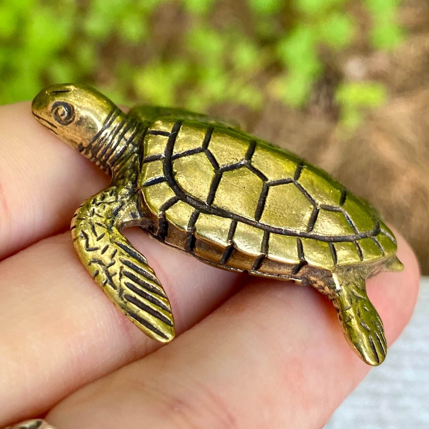 Sea Turtle - Symbol of Wisdom, Patience & Longevity
