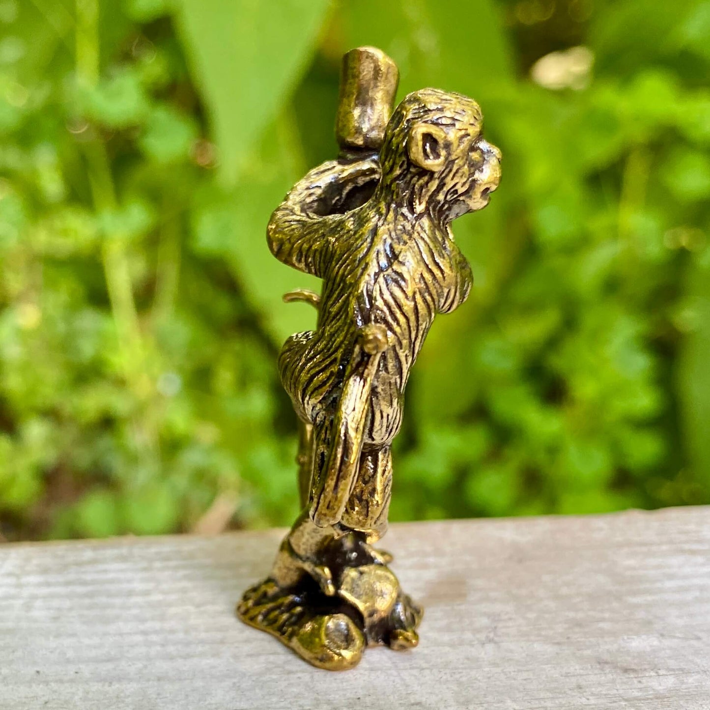 Monkey on Bamboo