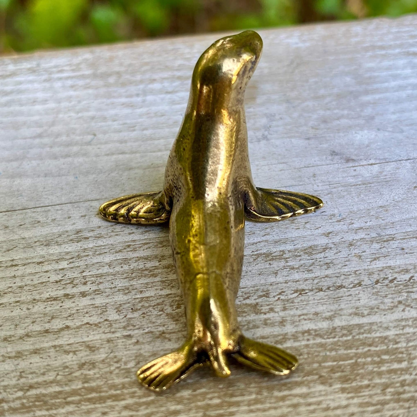 Seal