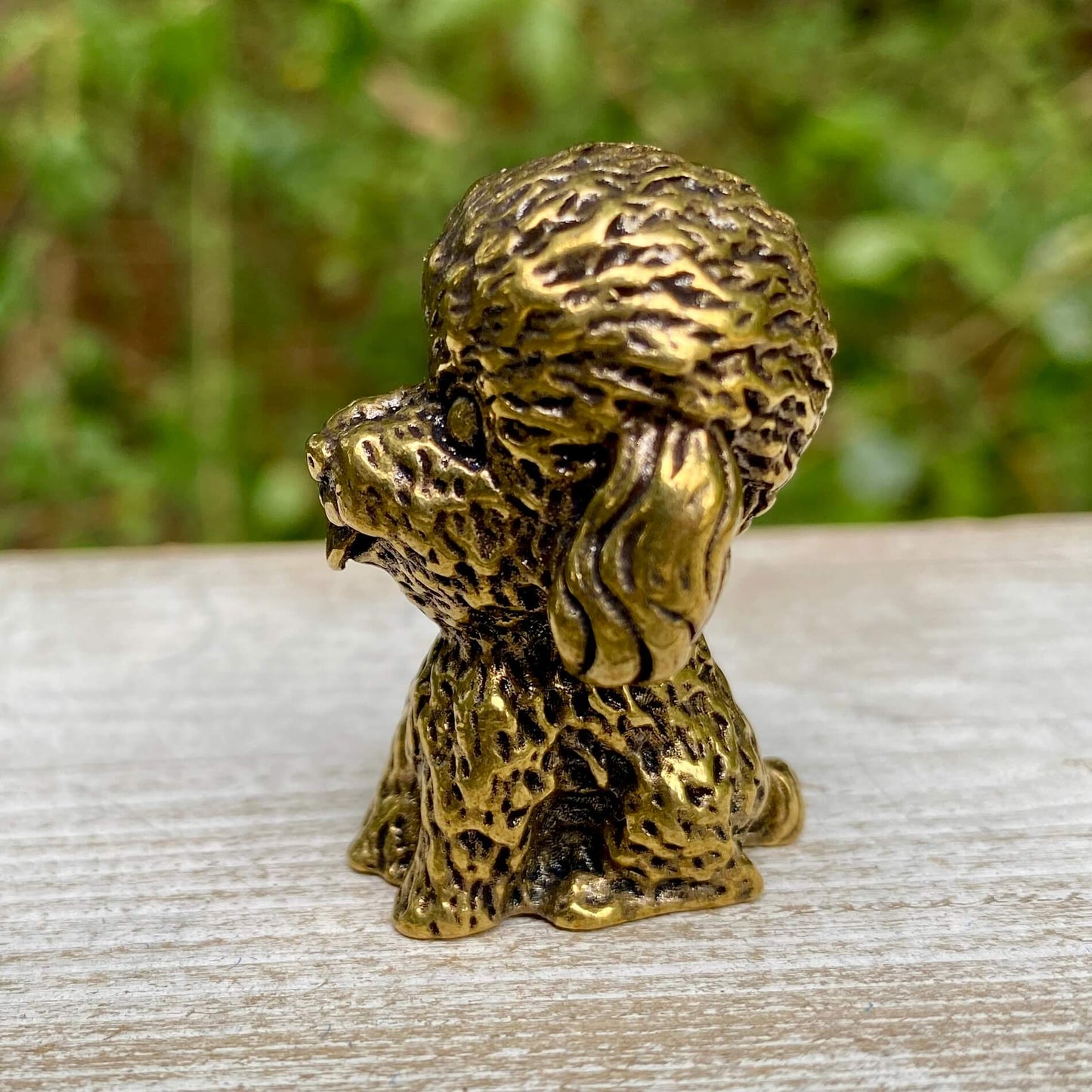 Poodle Dog