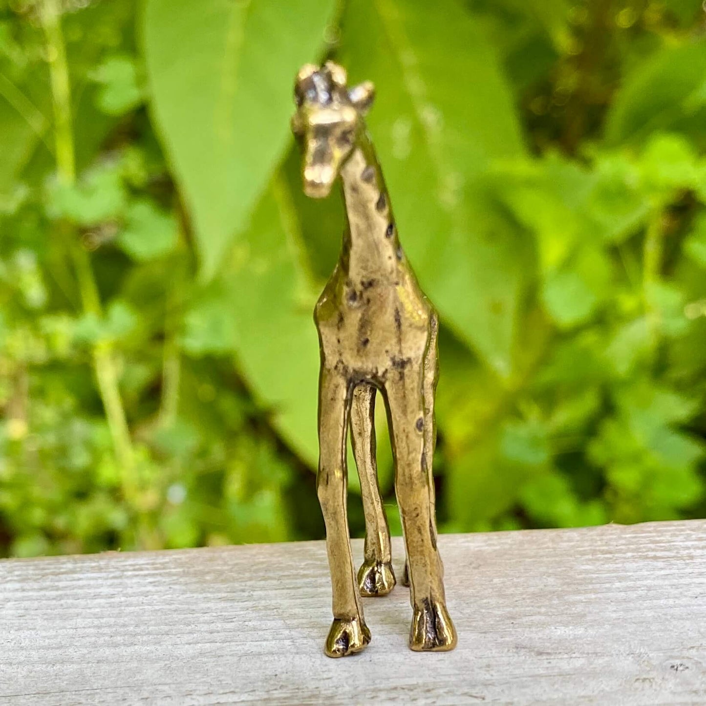 Giraffe - Symbol of Intuition & Power