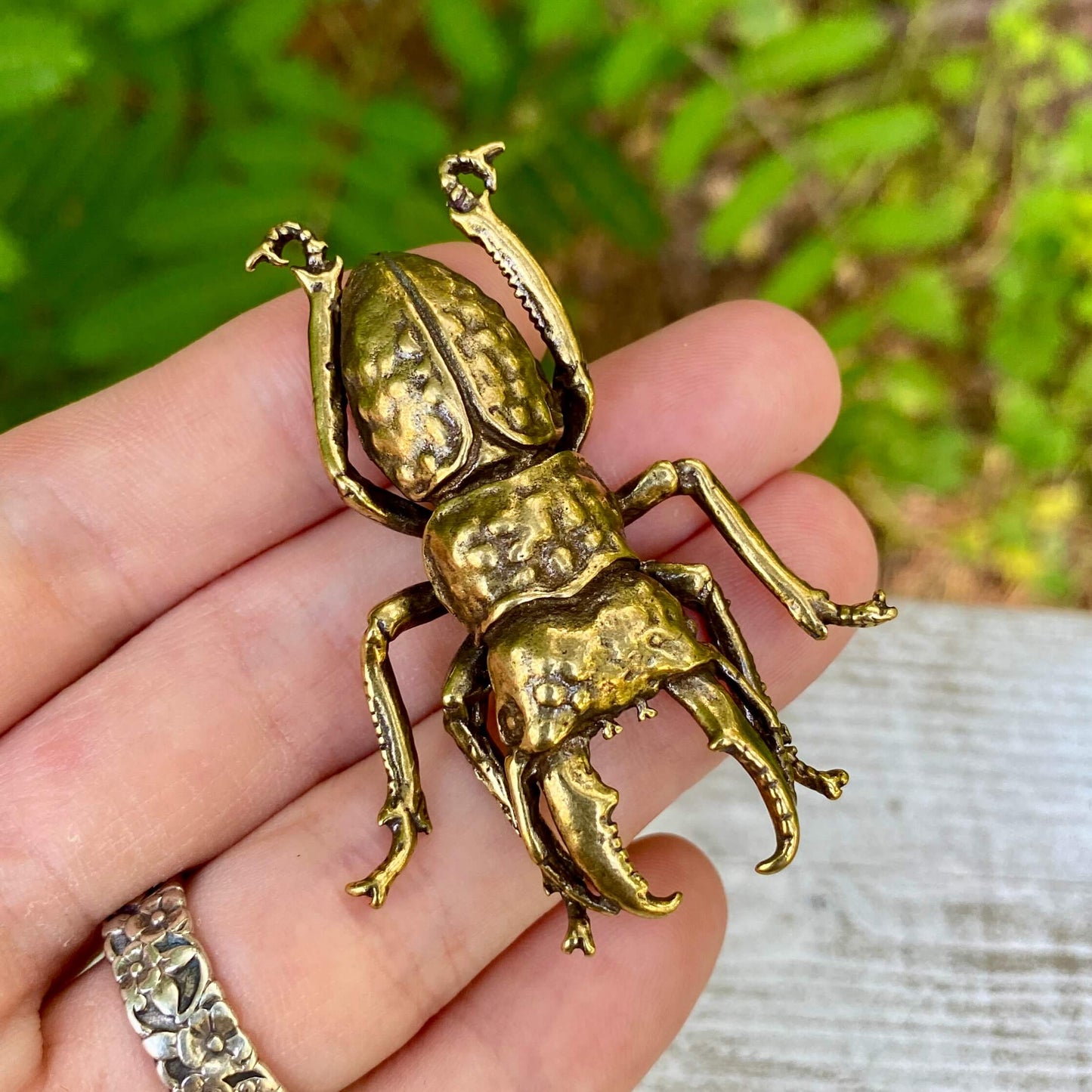 Handmade solid brass stag beetle sculpture with detailed mandibles, displayed on a wood surface