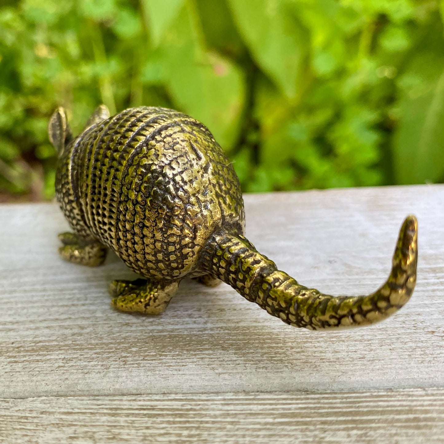 Armadillo - Symbol of Protection, Resilience, and Grounded Energy