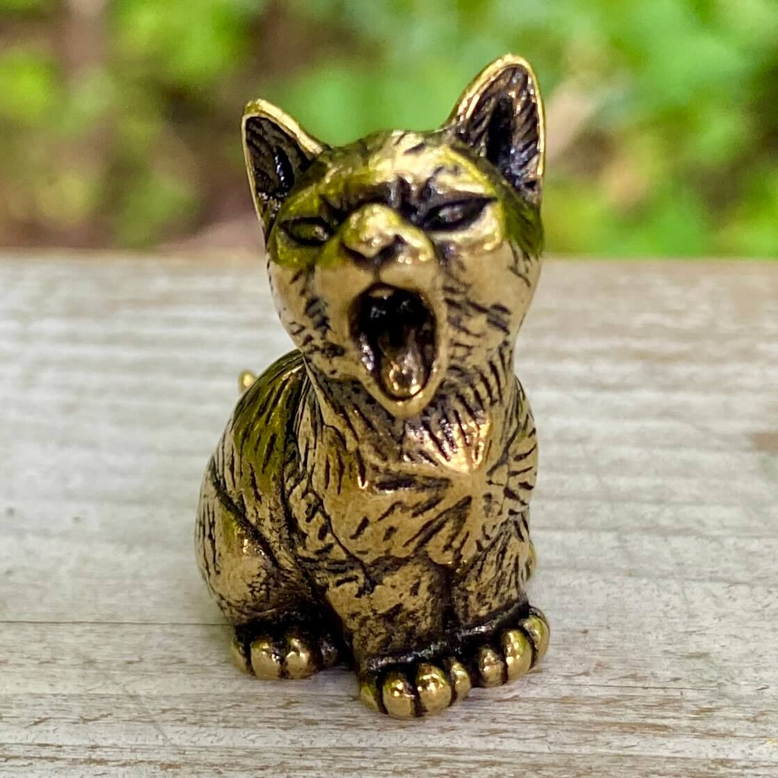 Cat yawning