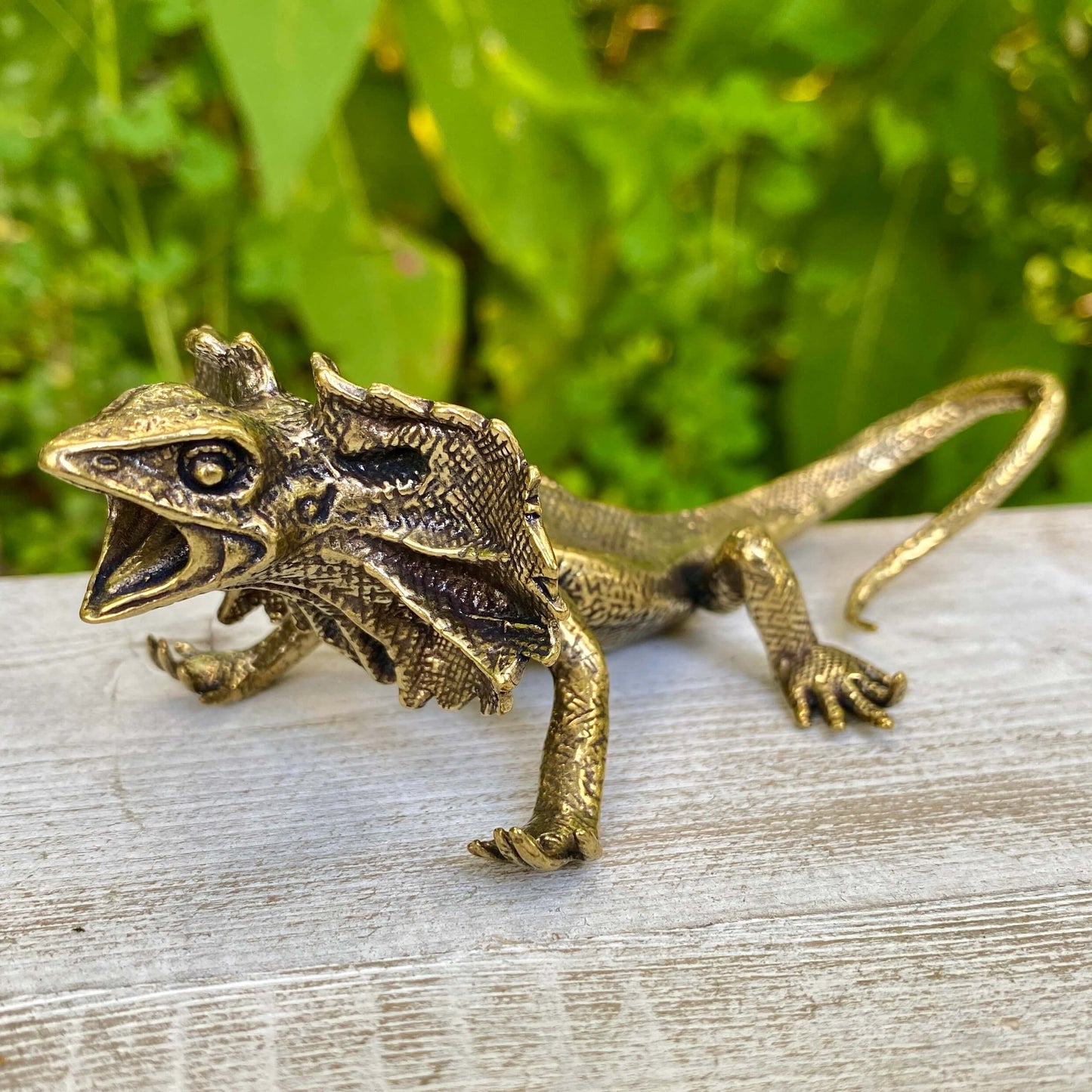 Veiled lizard