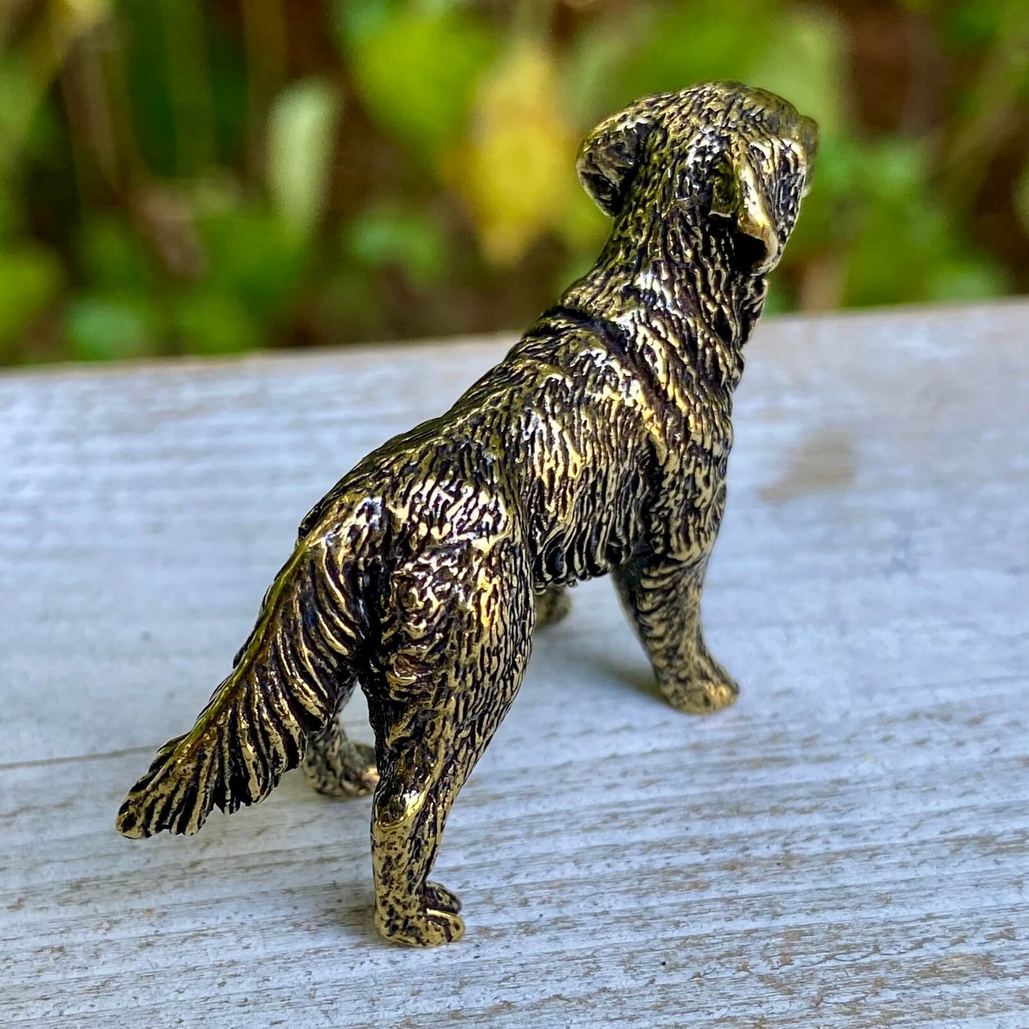 Brass Labrador Retriever