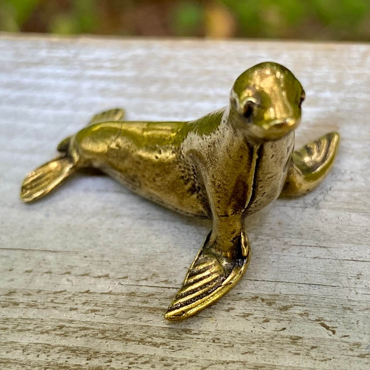 Seal