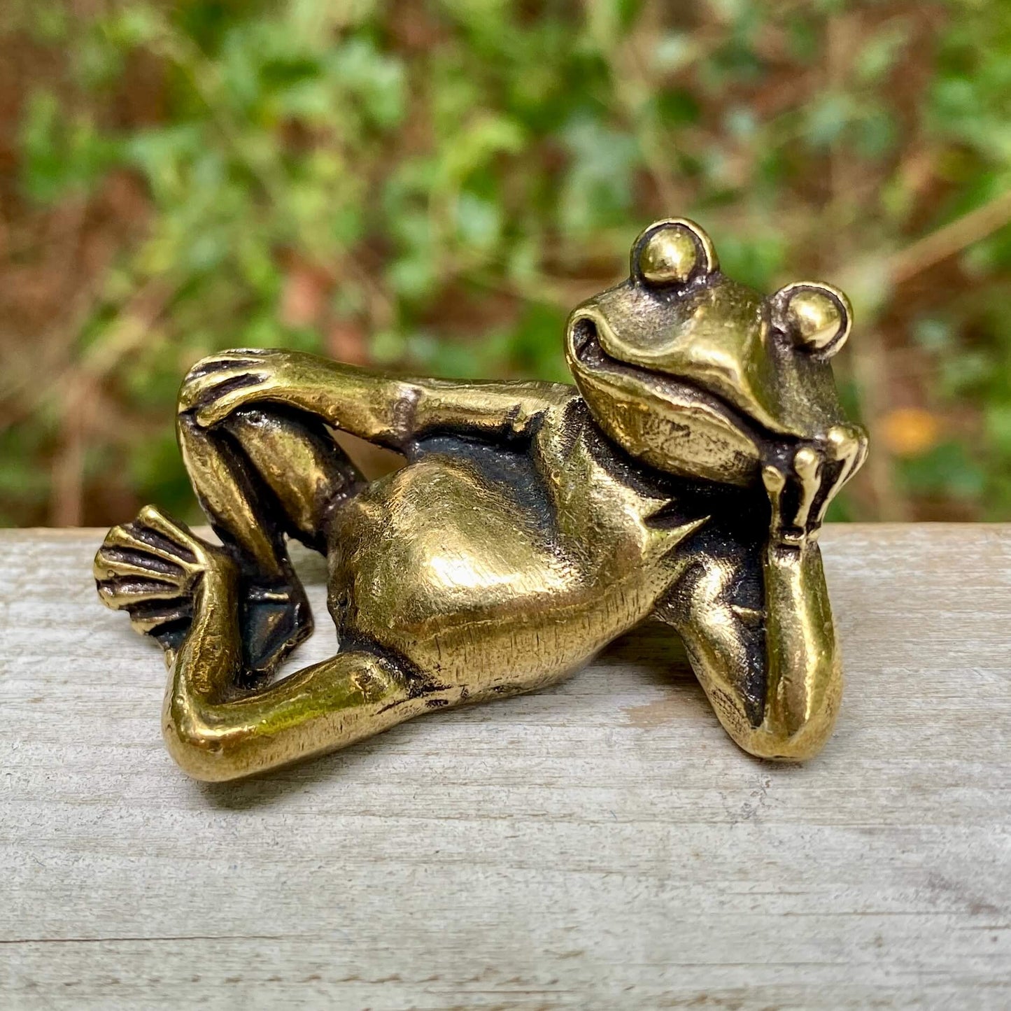 Lounging Frog
