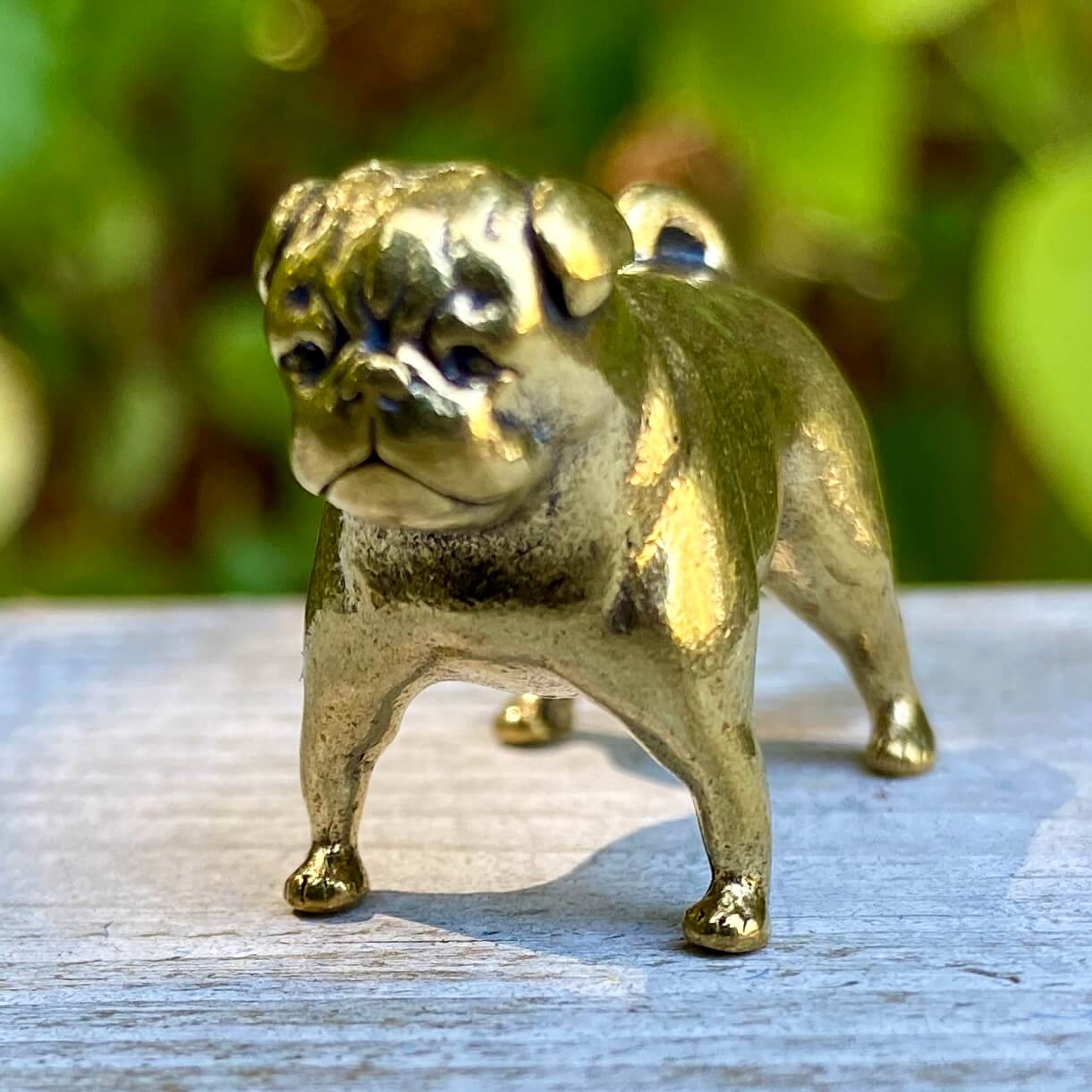 Pug