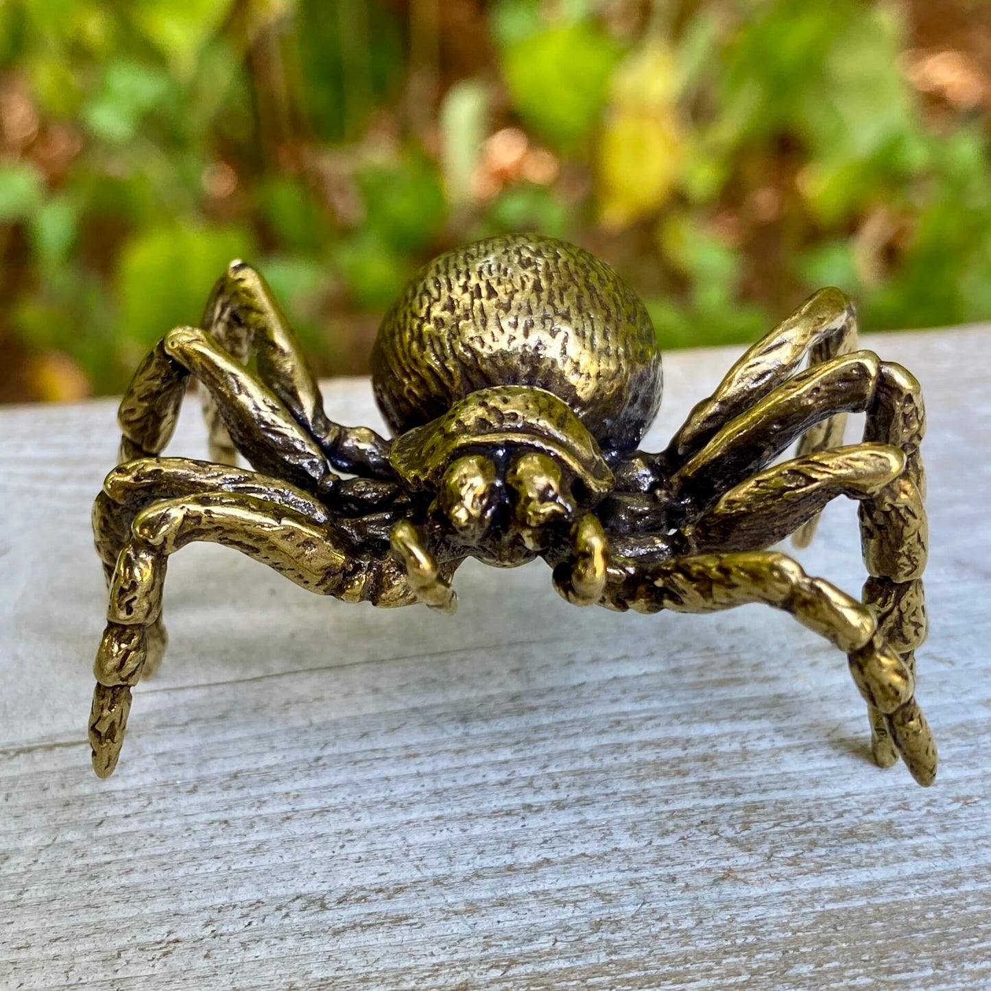 Tarantula