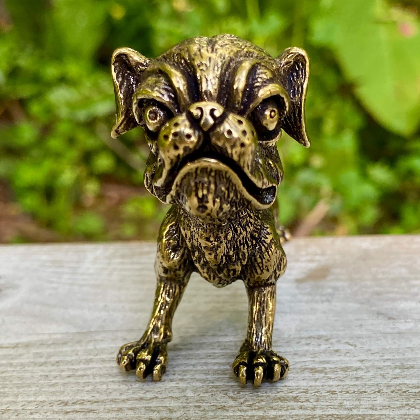 Ugly Pug Dog