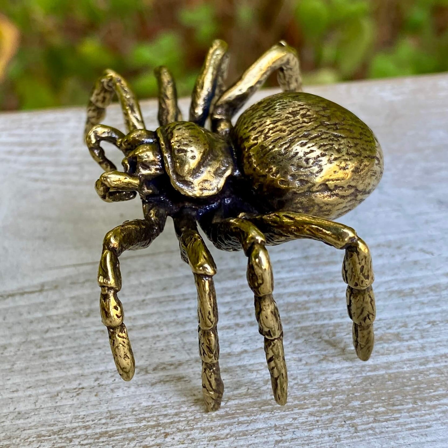 Tarantula