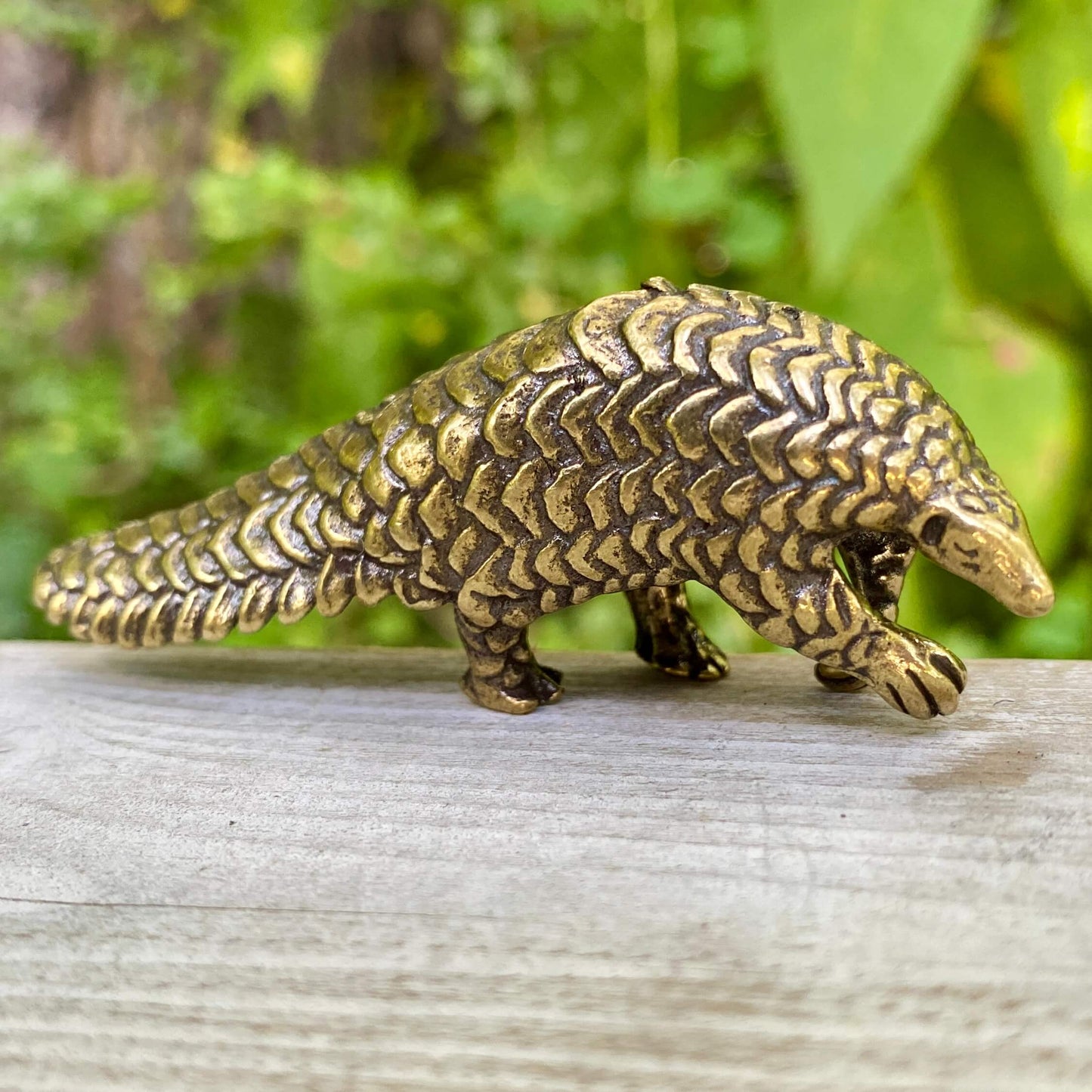 Pangolin
