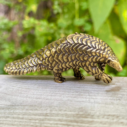 Pangolin