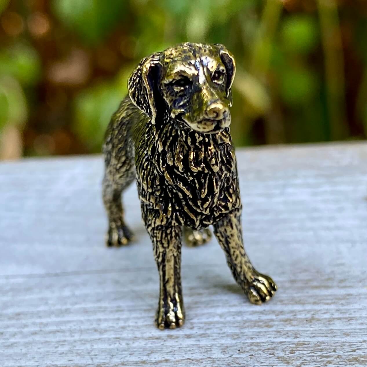 Brass Labrador Retriever